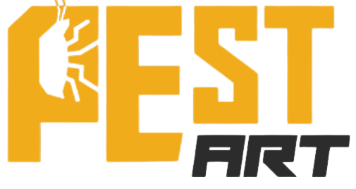 PestArt Böcek İlaçlama - İstanbul Böcek İlaçlama - İstanbul İlaçlama Hizmeti